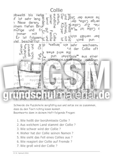 Collie.pdf